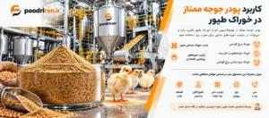 کاربرد پودر جوجه ممتاز در خوراک طیور