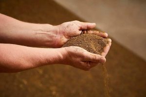 بهترین پودر ماهی برای پرورش سکن
