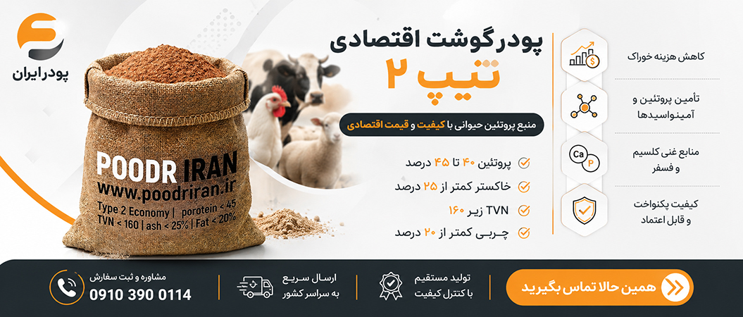 خرید پودر گوشت اقتصادی تیپ دو