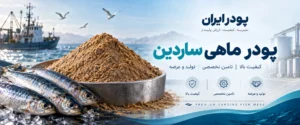 بنر پودر ماهی ساردین
