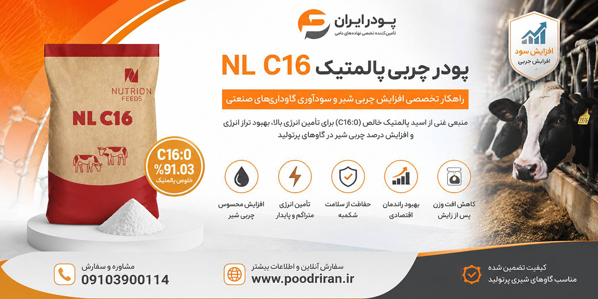 خرید پودر چربی پالمتیک NLC16