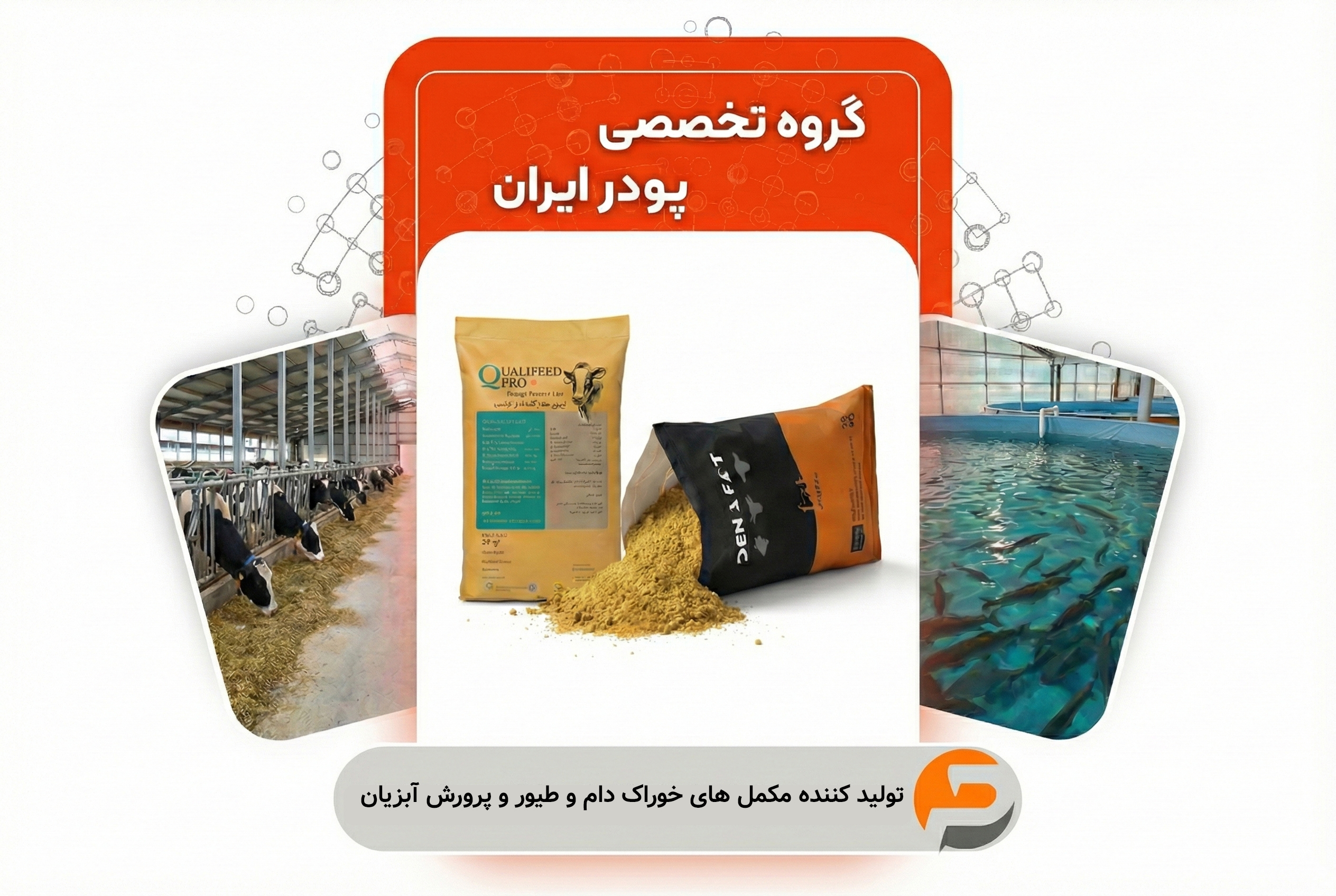 گروه تولیدی تخصصی پودر ایران