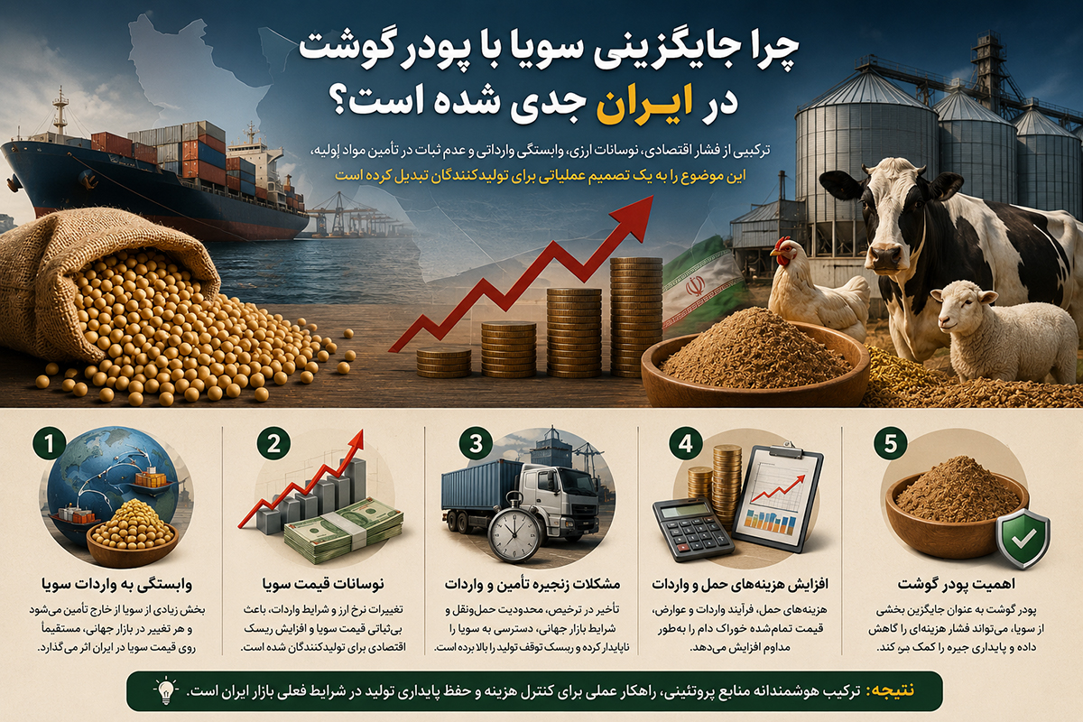 جایگزینی سویا با پودر گوشت