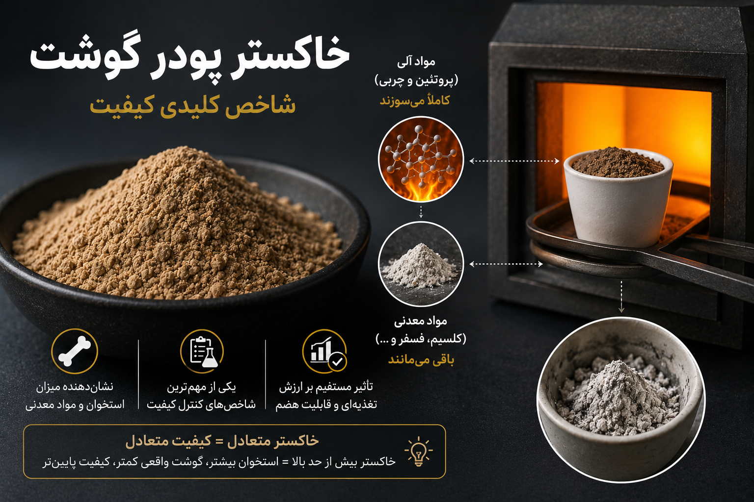 خاکستر پودر گوشت چیست ؟