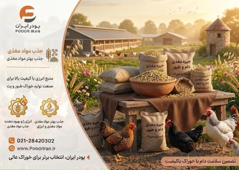 روغن مرغی