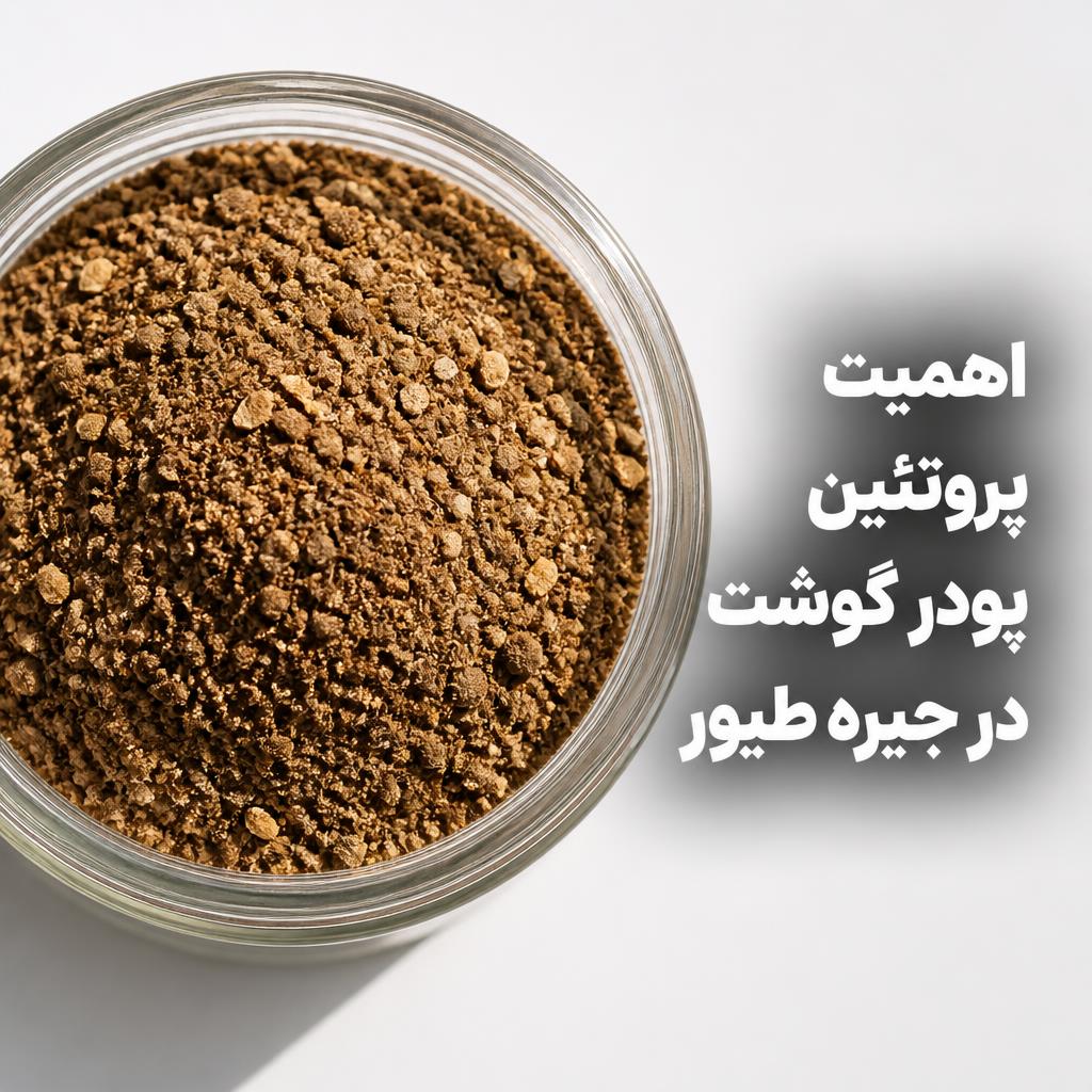 پودر گوشت و جگر اسپریدرای با پروتئین بالا